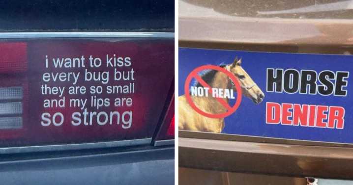 79 Drivers Share The Funniest Bumper Stickers They’ve Spotted On The Road (New Pics)