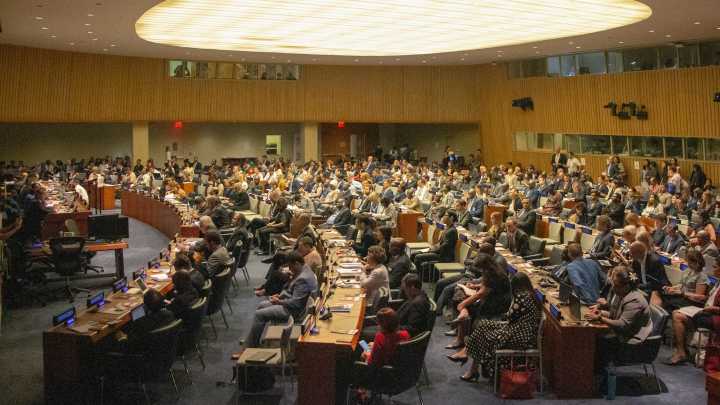 Universal credit is back in the dock – this time at the United Nations