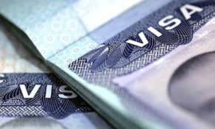 US business lobby sues Trump admin over 'misguided and unlawful' new H