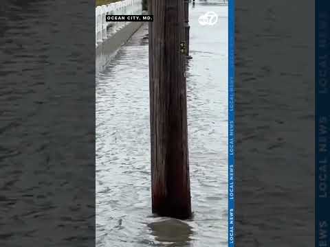 Nor'easter pummels parts of Maryland, causes street flooding