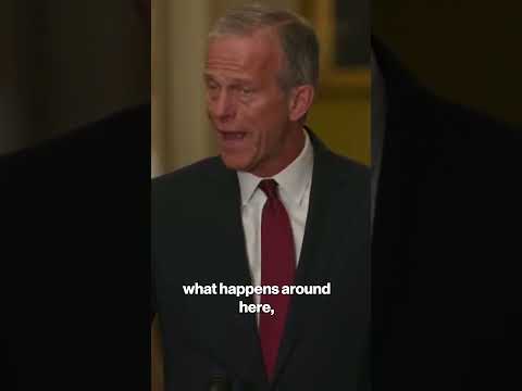 Senator Thune Says Democrats Have Trump Derangement Syndrome 'On Steroids’ #shorts