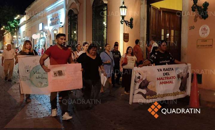 Exigen animalistas revisión de leyes tras caso de maltrato en Yucatán