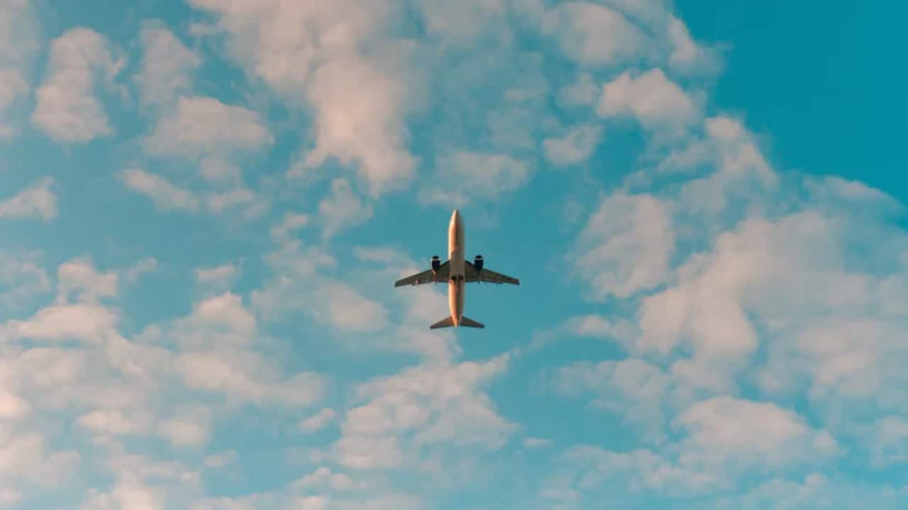 Delhi-bound Air India aircraft suffers bird hit; returns to Nagpur