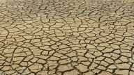 La Tierra se acerca al "caos climático"