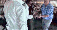 Illinois producer follows early interest in pork