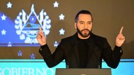 Compromiso Animalista: Nayib Bukele lanza plan nacional para perros y gatos callejeros