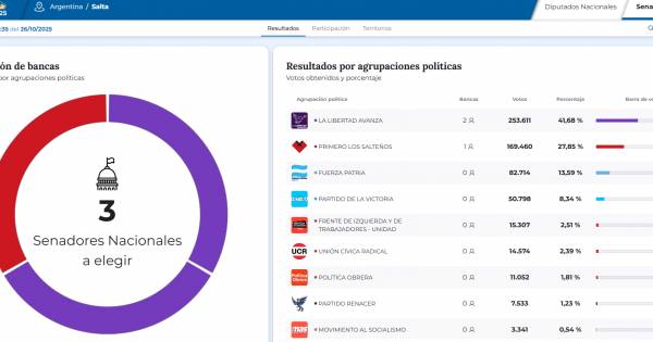 Estos son los resultados oficiales de las elecciones en Salta