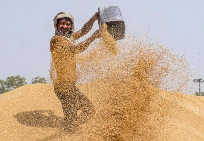 Govt raises wheat MSP by 6.59 pc to Rs 2,585 per quintal for 2026...