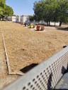 El Ayuntamiento adecenta el patio del CEIP Elio Antonio de Nebrija tras las quejas