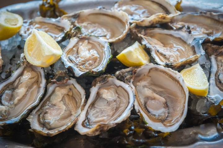 New Jersey Oyster Festival brings shucking contests and coastal flavor to Port Norris
