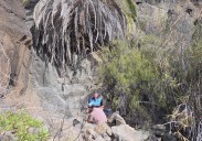 Rescatada una mujer tras caer 15 metros en un barranco de San Bartolomé de Tirajana