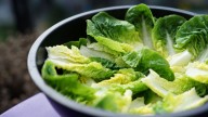 El truco para mantener la lechuga crujiente durante más tiempo