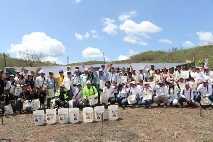 San Martín lanza campaña de restauración de los bosques amazónicos afectados por incendios