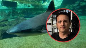 CIENTIFICO MEXICANO SOBREVIVE A LA MORDEDURA DE UN TIBURON EN COSTA RICA.