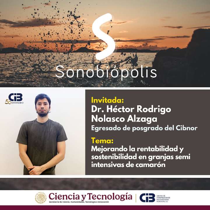 Conoce como mejorar productividad de granjas de camarón