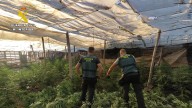 Desmantelan un centro de producción de marihuana en una vivienda de El Ejido