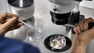 Azadi In Reproductive Choices: Why Egg Freezing Matters