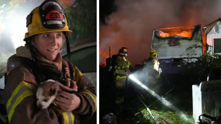 Firefighters rescue husky puppies after house fire in Monroe