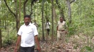 Unknown animal triggers panic in Odisha village; locals keep overnight vigil