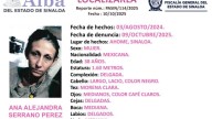 Buscan a Ana Alejandra, desaparecida desde el 2024 en Ahome