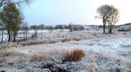 Heladas cubren la Sierra: -0.7 en El Vergel; Majalca 2.9