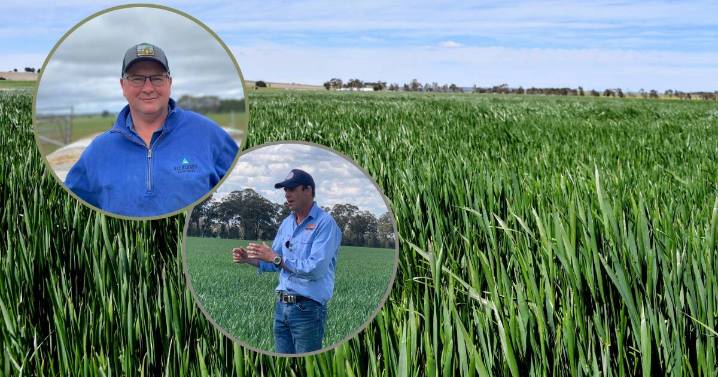 Why you should call your contractors now, this harvest season