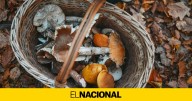 Ferias y fiestas este fin de semana en Catalunya: los mejores planes para el 25 y 26 de octubre