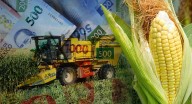‘Sin maíz no hay país’: Campesinos consideran “insulto” y “burla” precio fijado por Gobierno en 6 mil 50 pesos por tonelada de máiz