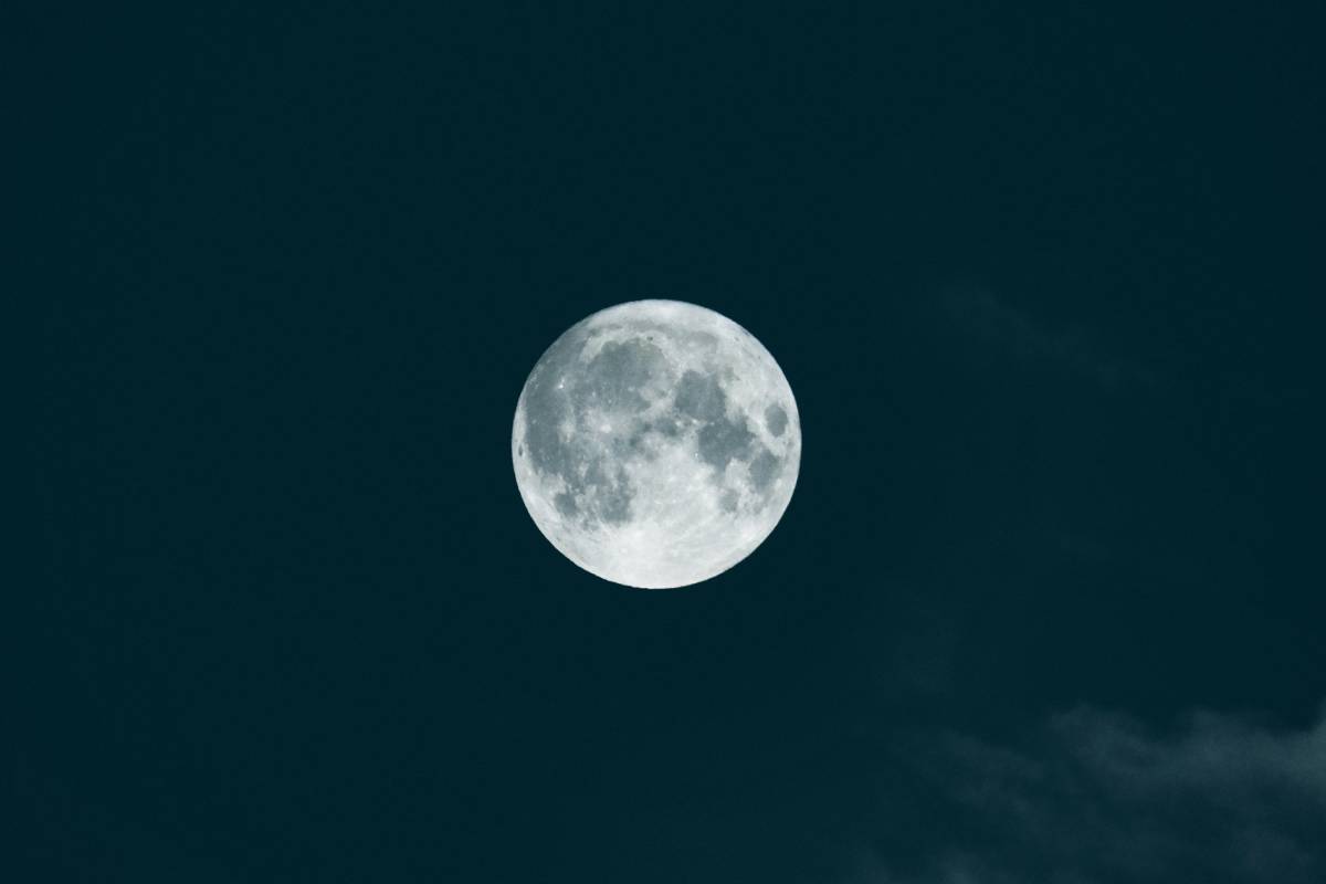 NYC Guide To The Full Beaver Supermoon: See 2025’s Closest & Brightest Moon Next Week
