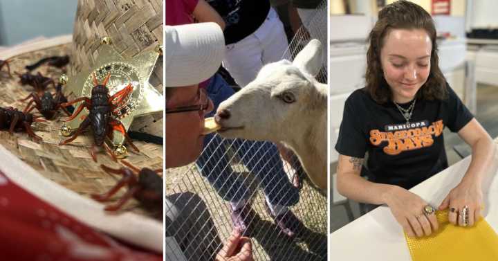 7 offbeat events that capture Stagecoach Days' quirky spirit
