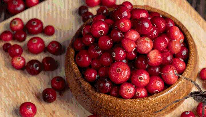 People Are Not Reacting Well After Learning How Cranberries Are Grown