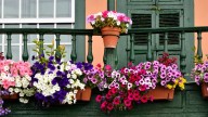 Los 5 trucos de especialistas para decorar el balcón: así debe ser para el verano