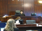 Judge Diane Goodstein’s Home Burns to Ground After Ruling Against Trump