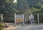 YUCATÁN | Clausuran obras ilegales en manglares de Chicxulub Puerto