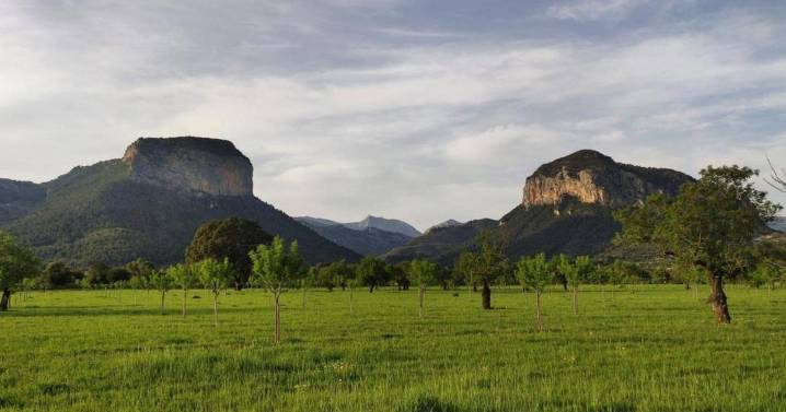 Los payeses critican la intromisión de hoteleros y comerciantes en la ley agraria