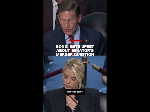 Bondi gets upset about senator's merger question