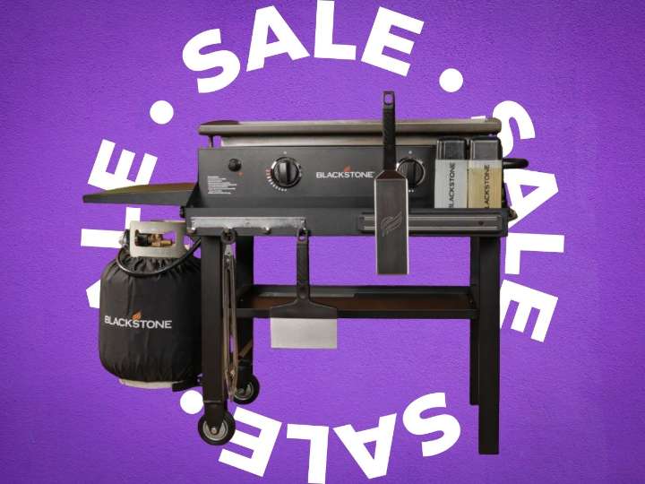 Wayfair has a $100 markdown on the Blackstone 28-inch Griddle during Early Black Friday sale