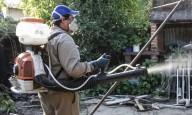 Se mantienen estables los casos de dengue en Formosa