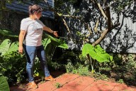 A long-lost ancient Roman artifact reappears in a New Orleans backyard