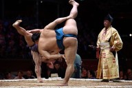 How sumo wrestling bounced back