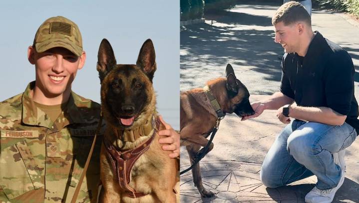 Retired military K-9 reunited with handler after 6 years apart