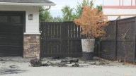 Man sentenced for arson, shooting at B.C. home of Punjabi musician AP Dhillon