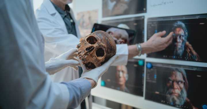 Ancient lead exposure may have helped humans evolve over Neanderthals, study finds