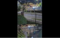 Vecinos reportan balacera en Las Rastras: no hubo lesionados