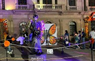 Saltillo se llena de alas y tradición con el Festival Paso de la Mariposa Monarca