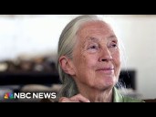 Remembering Jane Goodall for a legacy she forged in the wild