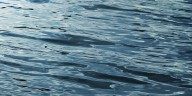 Dive teams activated near Harbor Park in Middletown