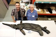 Identifican al ‘dragón espada’, nueva especie de reptil marino prehistórico