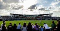 How did the Salt Lake Bees fare in the first year at a new ballpark?