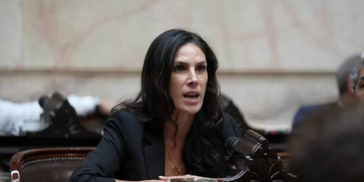 La furia de una diputada al exigir el desafuero de otro legislador por difundir fake news: “!No sean machirulos!”
